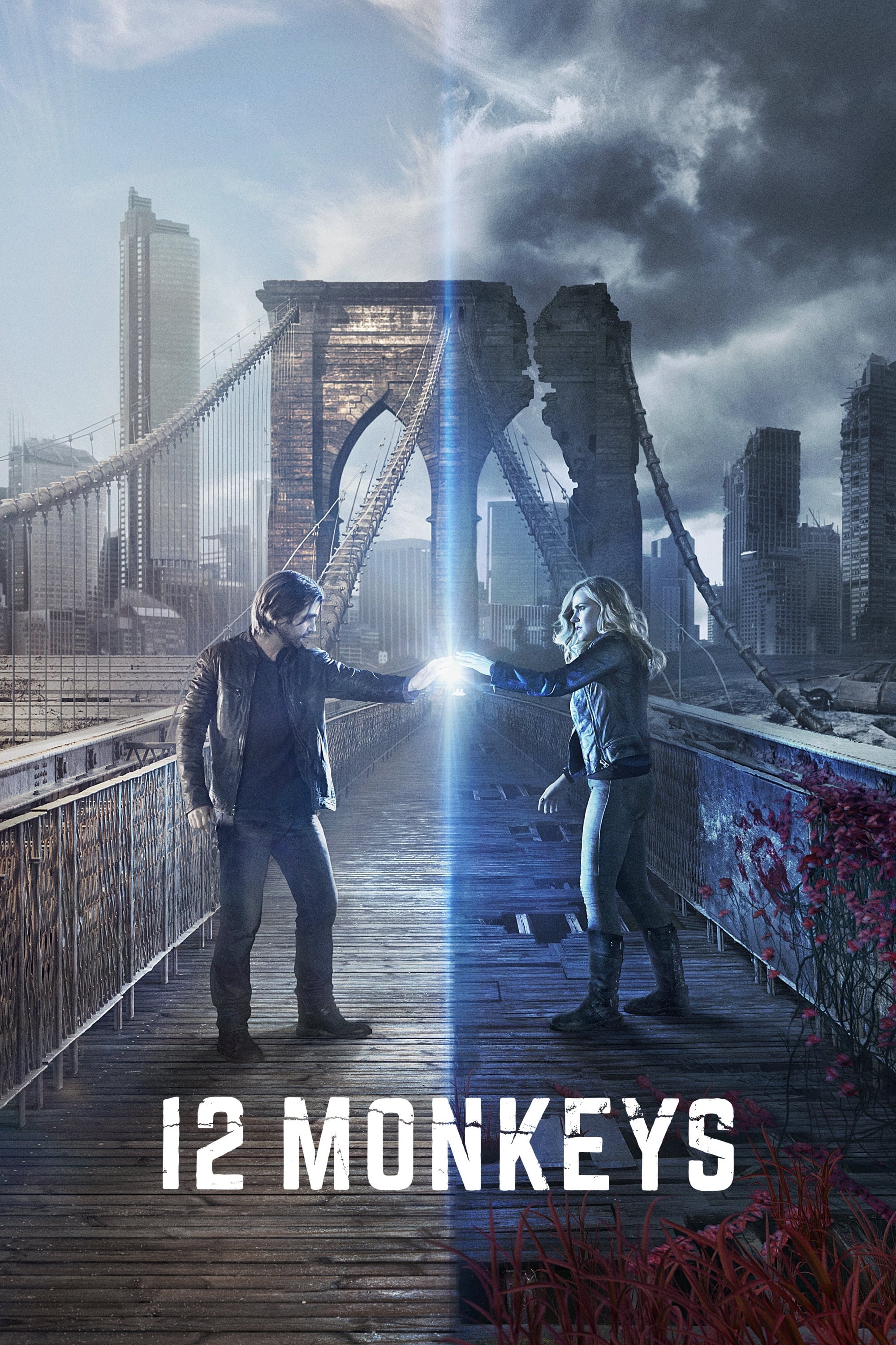 دوازده میمون 12 Monkeys
