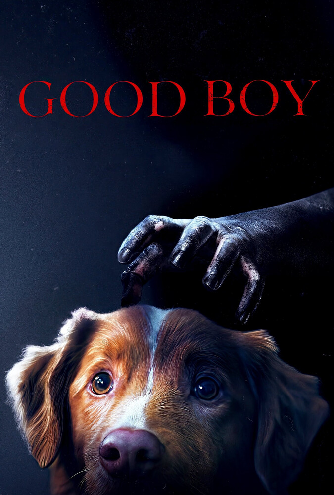 Good Boy | پسر خوب
