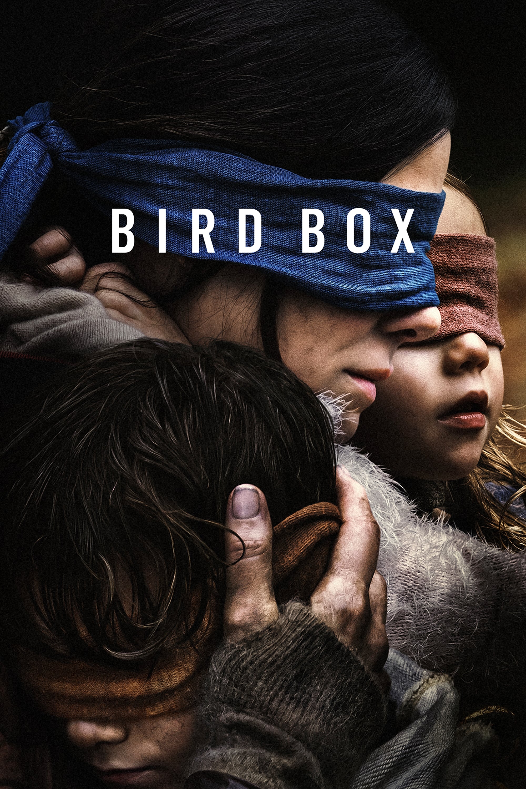جعبه پرنده ها Bird Box